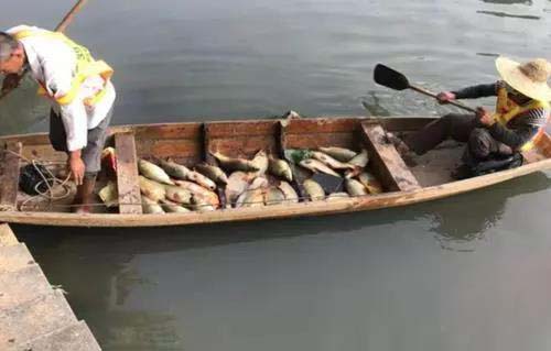 廣州旺旺食品廢水直排，永和河大量魚類死亡